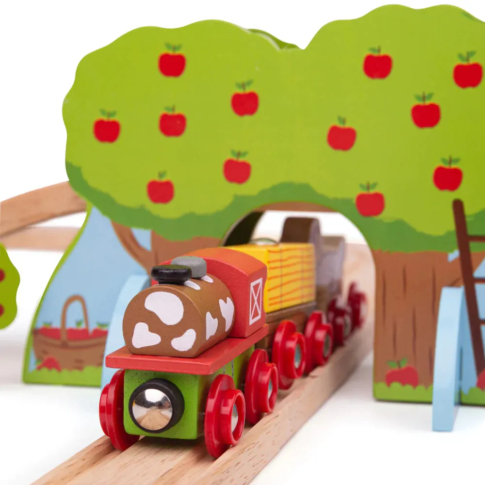 BIGJIGS RAIL | Farm Train Set