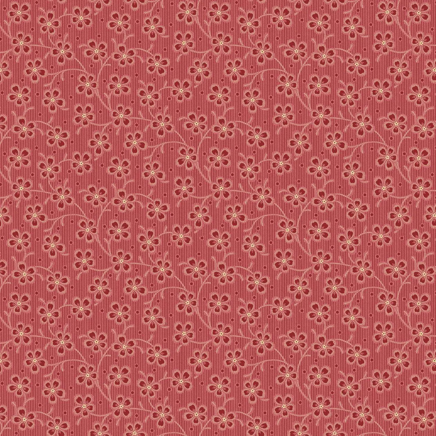 Edyta Sitar | Dahlia | Dianthus | Cardinal