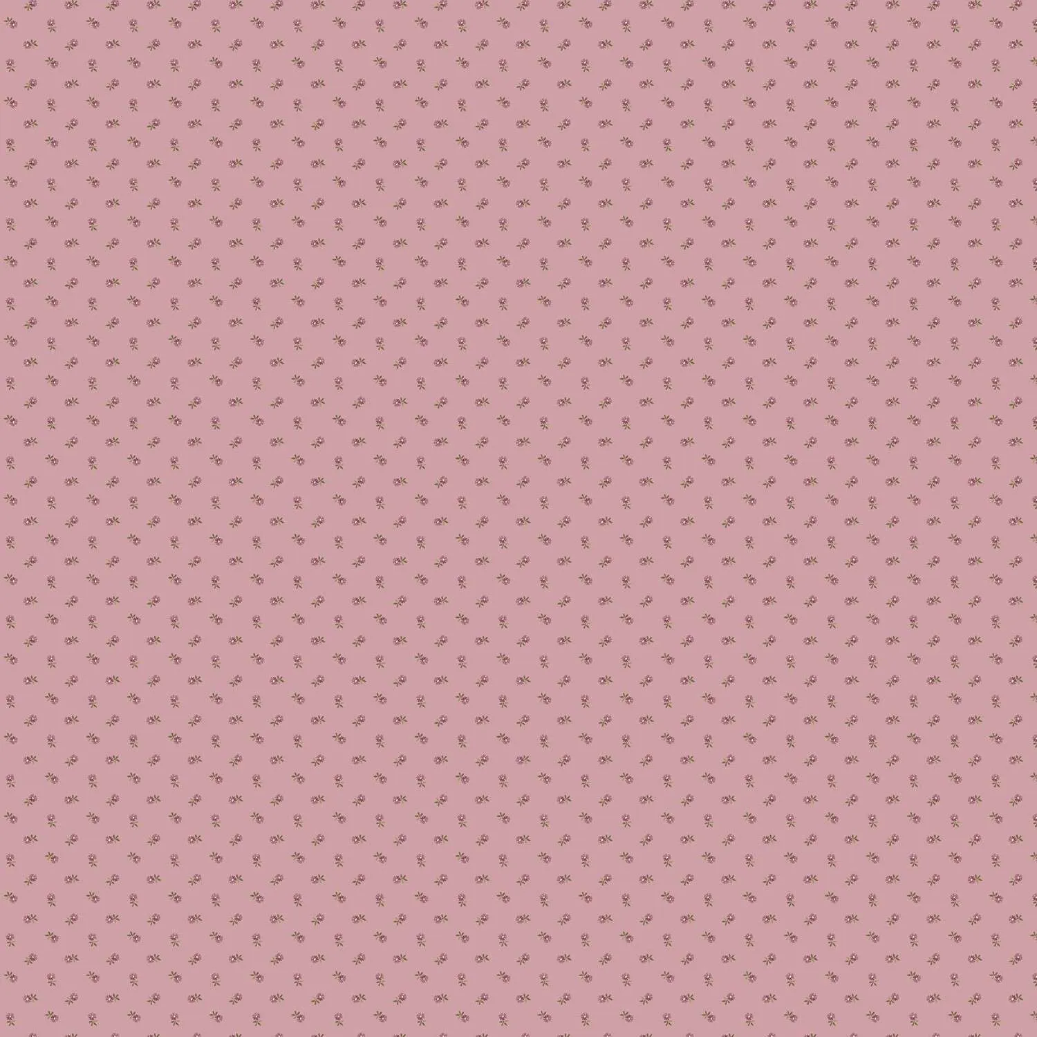 Edyta Sitar | Dahlia | Pincushion Flower | Lilac
