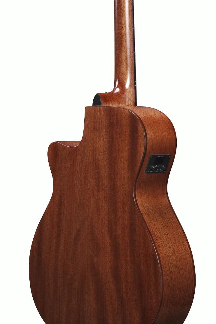 Ibanez AEG220 Natural Low Gloss AEG Acoustic Guitar