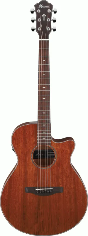 Ibanez AEG220 Natural Low Gloss AEG Acoustic Guitar