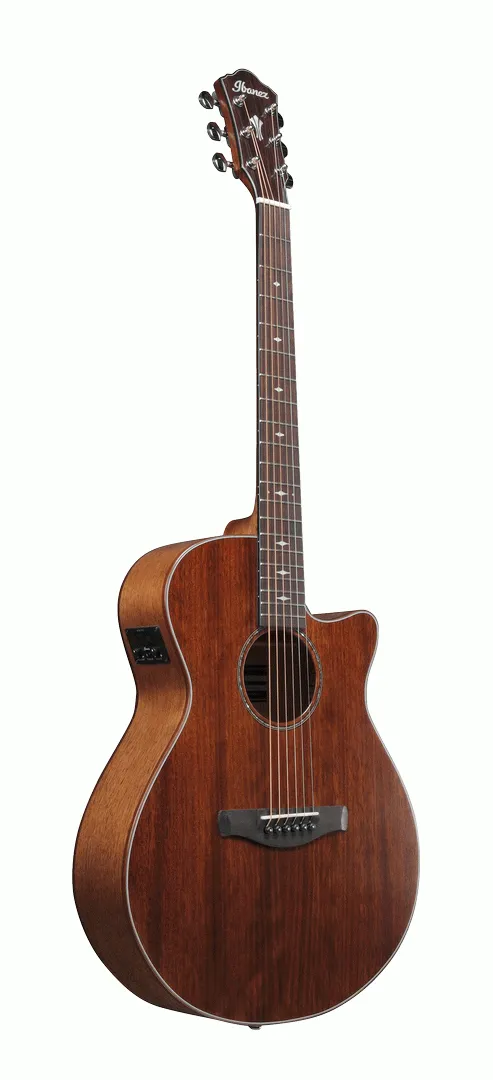 Ibanez AEG220 Natural Low Gloss AEG Acoustic Guitar