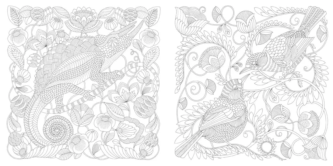 Millie Marotta’s Wildlife Coloring Book