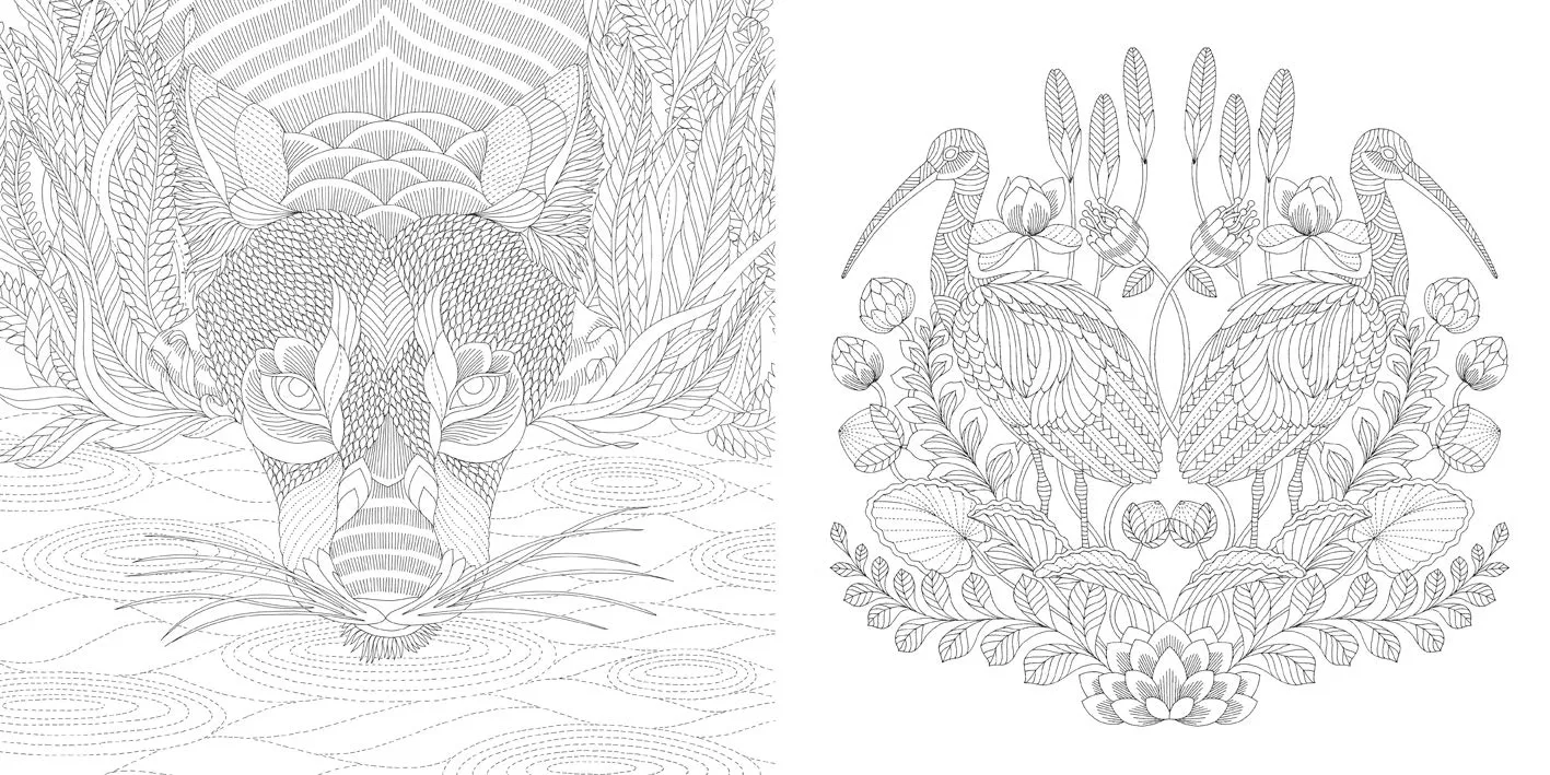 Millie Marotta’s Wildlife Coloring Book