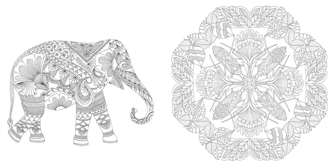 Millie Marotta’s Wildlife Coloring Book