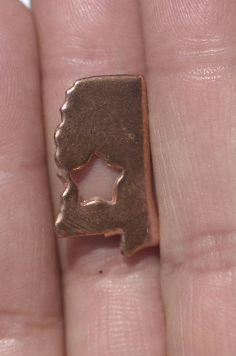 Mississippi Small State With Star Blanks Cutout for Enameling Metalworking Stamping Texturing Blank Variety of Metals - 6 pieces