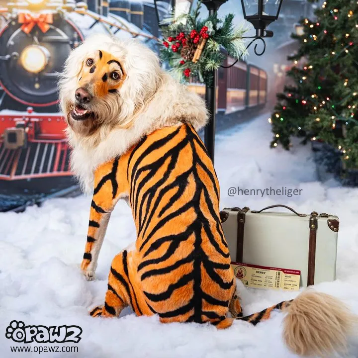 OPAWZ Animal Patterns Pack 🐯 (VP53)