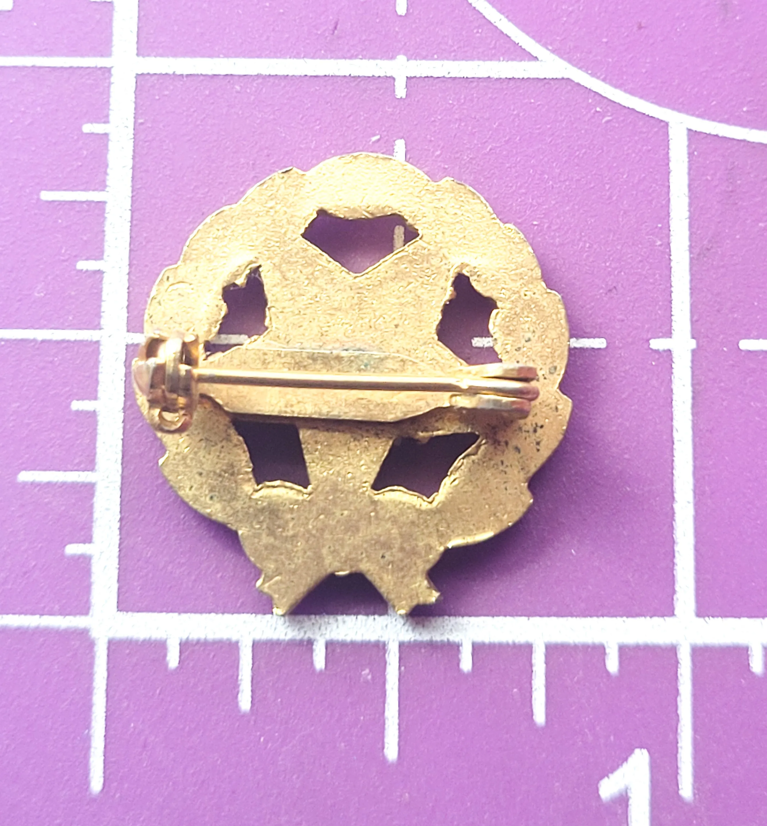 Order of the Eastern Star Masonic gold tone enamel 25 year vintage brooch