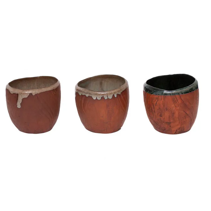 Palm Tree Plant Pot