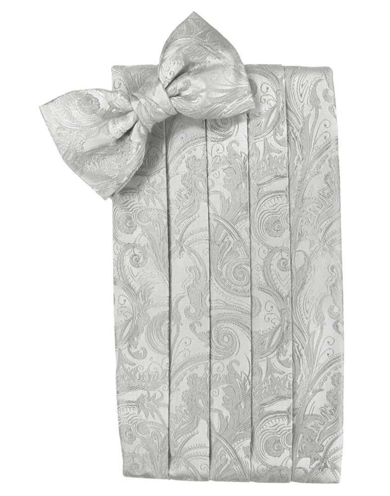 Platinum Tapestry Silk Cummerbund & Bow Tie Set