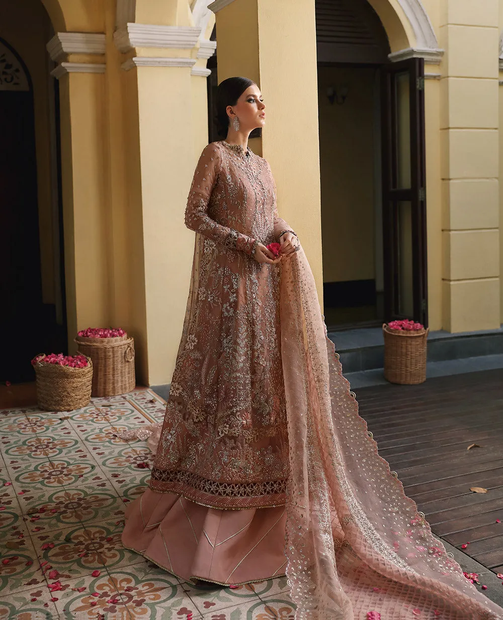 Republic Womenswear |  WEDDING vol-1 '24 | BAIA (WF-20)