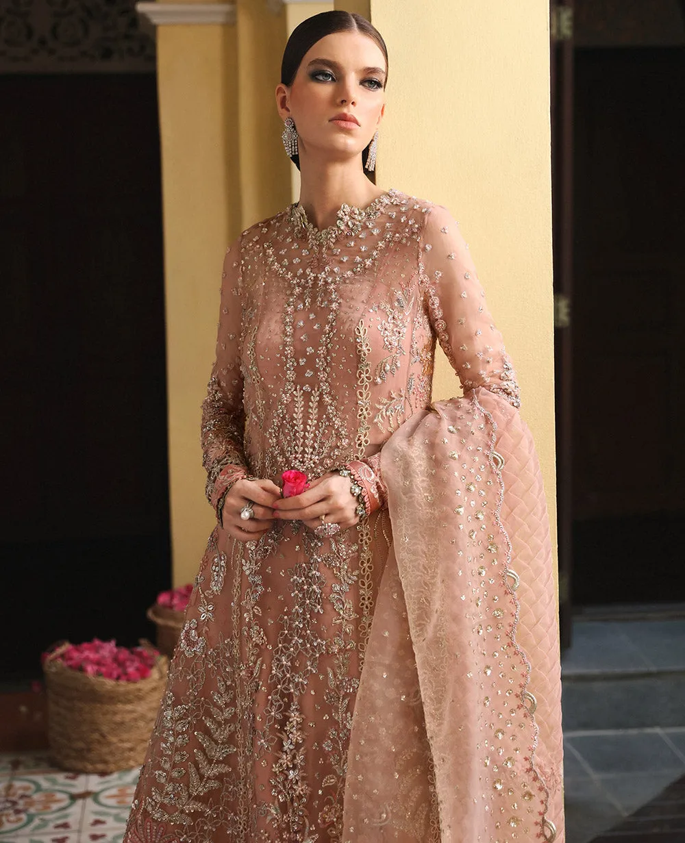Republic Womenswear |  WEDDING vol-1 '24 | BAIA (WF-20)