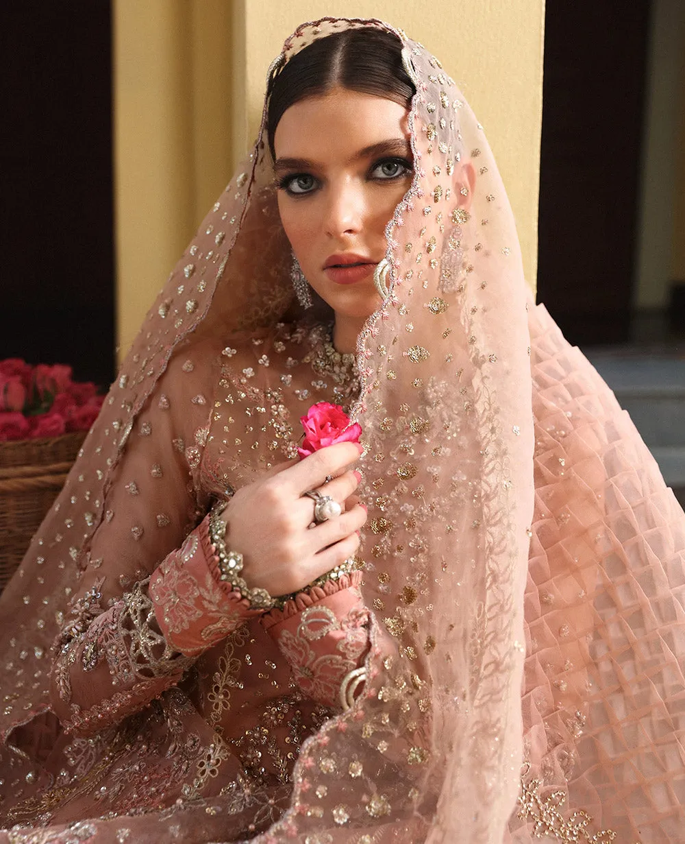 Republic Womenswear |  WEDDING vol-1 '24 | BAIA (WF-20)